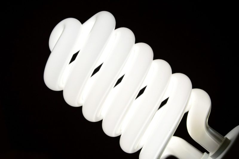 CFL Light Bulbs