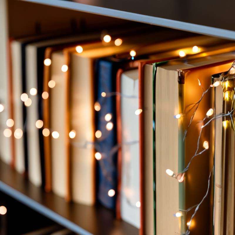 LED-copper-wire-fairy-lights-along-a-bookshelf