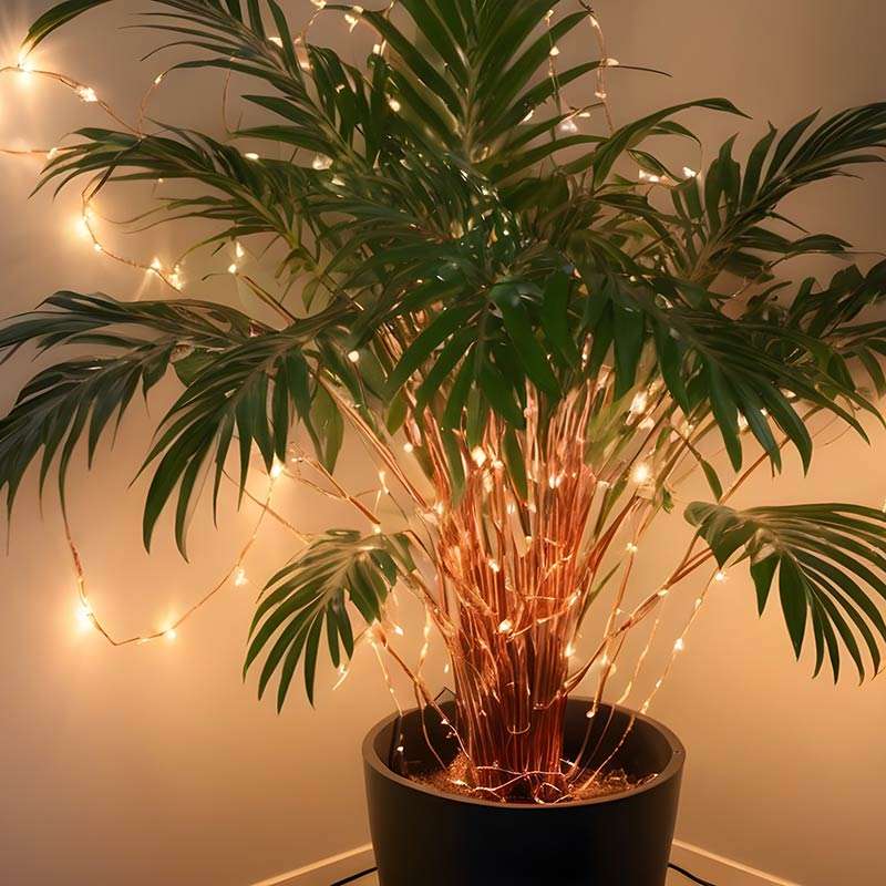 LED-copper-wire-fairy-lights-wrapped-around-an-indoor-Kentia-Palm-plant