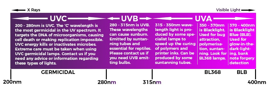 choosing-ultraviolet-bulbs-uva-uvb-and-uvc-lightbulbs-direct